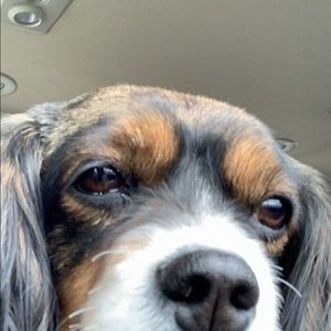 Meet your Posher, Leah